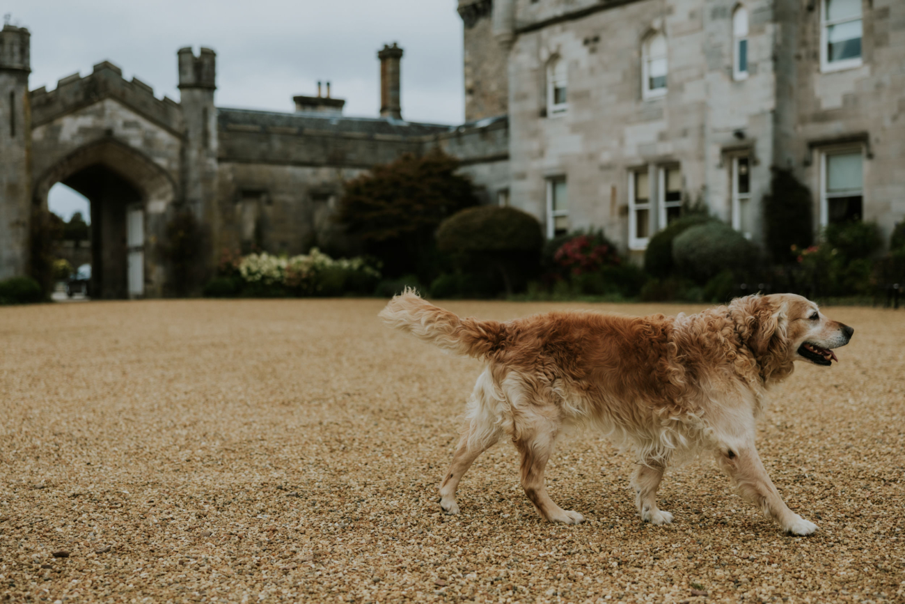 Wedding at Dundas Castle00023 1