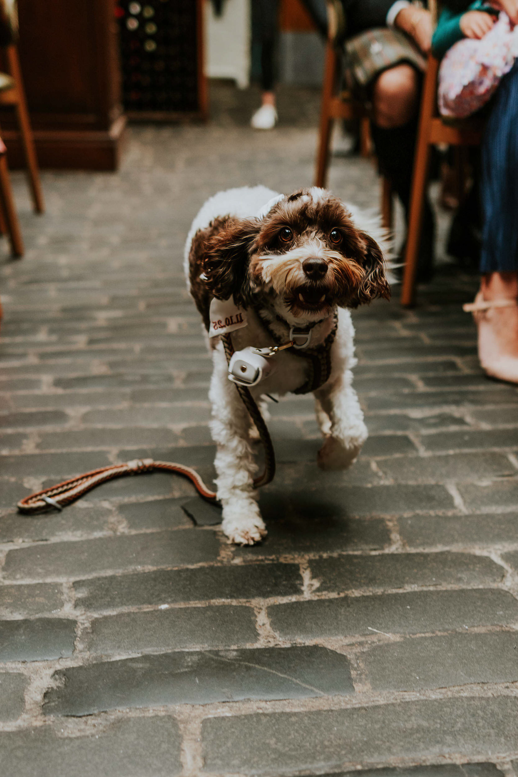 ubiqutous chip wedding photos00028