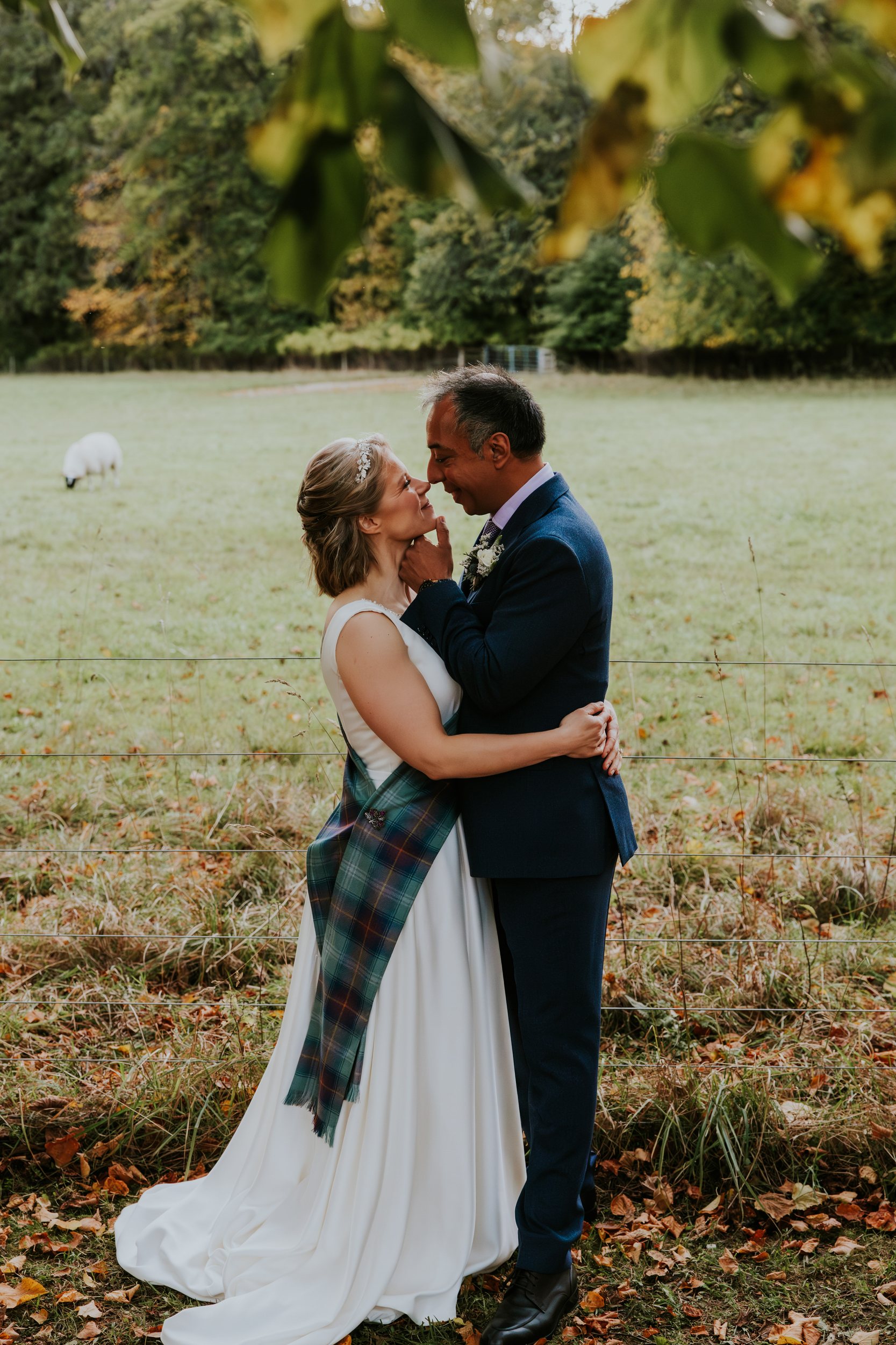 Bride and groom embrace in a grassy field with a grazing sheep and trees behind; bride in white dress with tartan sash.