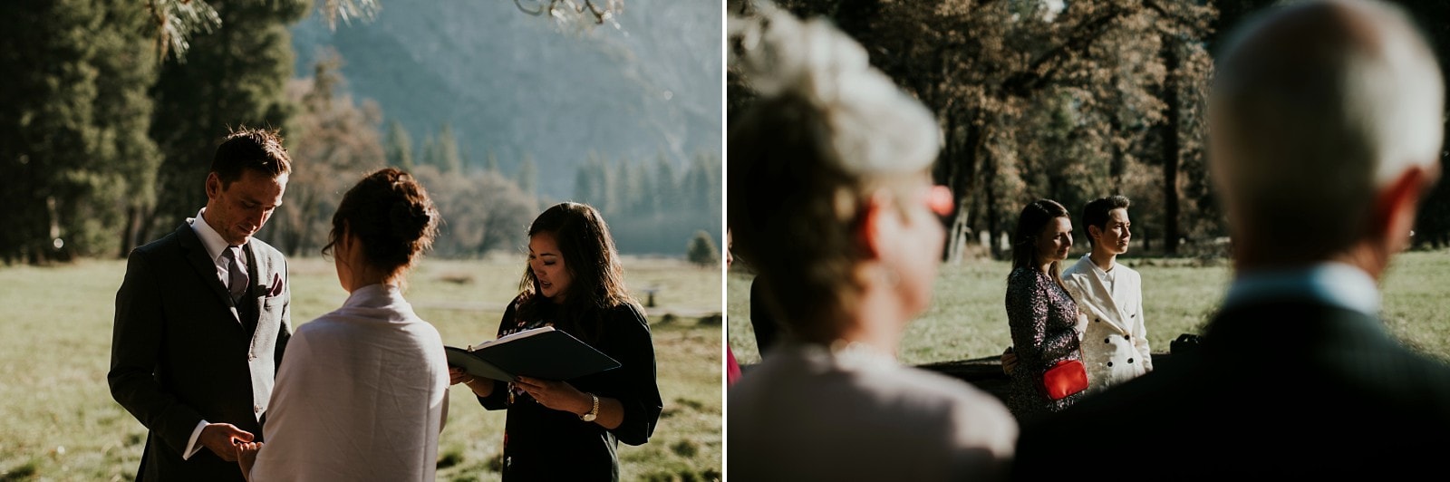 helen mike yosemite park wedding photos00049