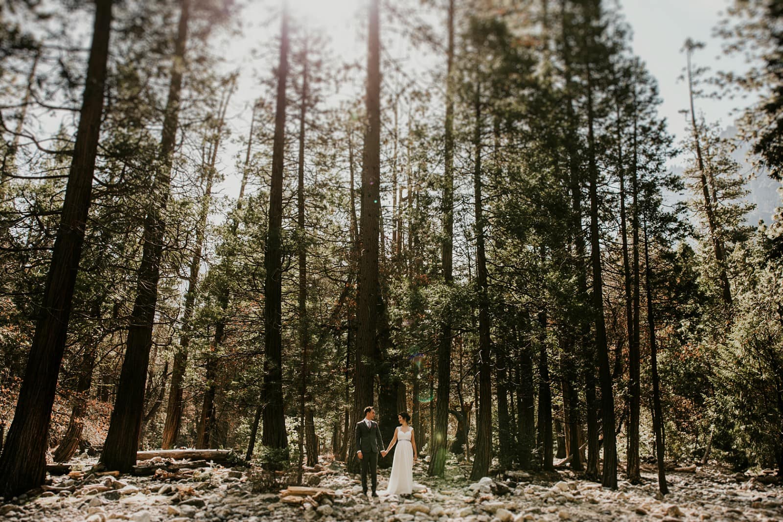 helen mike yosemite park wedding photos00070