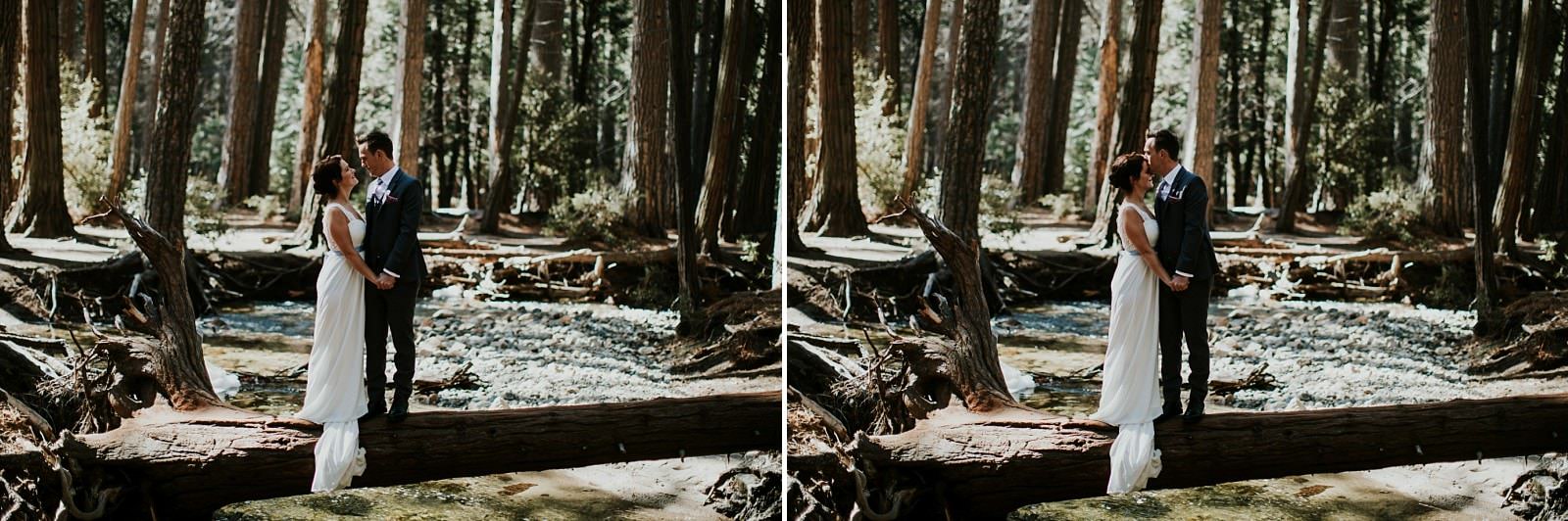 helen mike yosemite park wedding photos00074