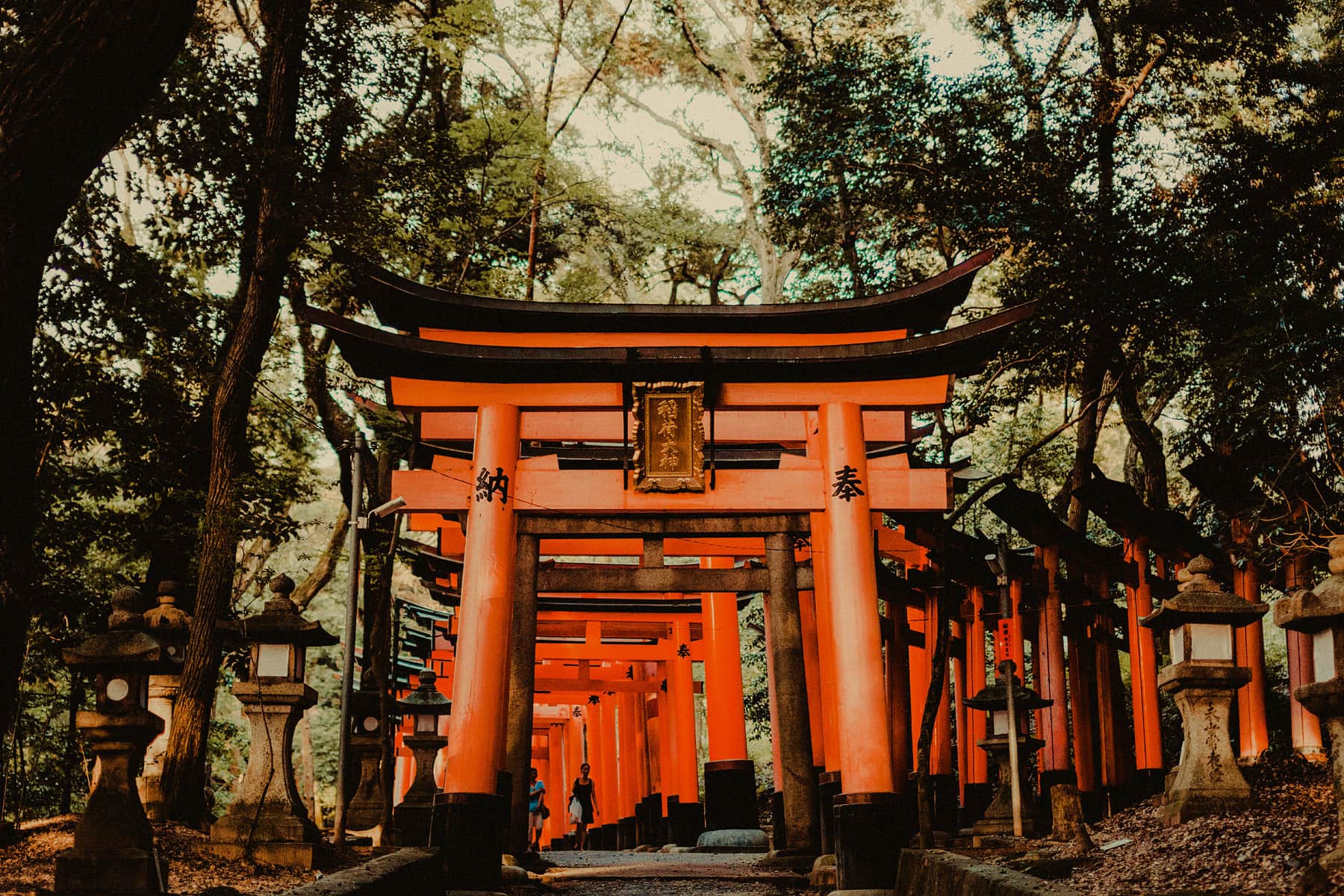 Landscape wedding photographer (21)