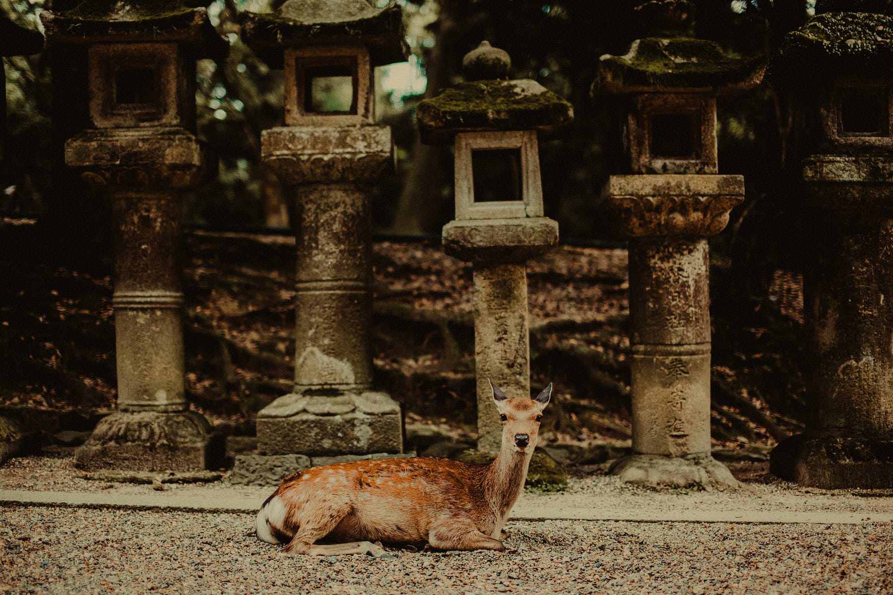 Landscape wedding photographer (22)